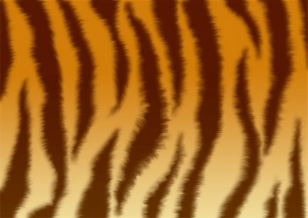 A fluffy skin of a tiger Stock Photo - Budget Royalty-Free & Subscription, Code: 400-05062388