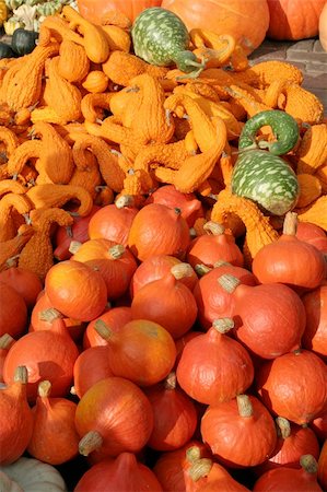 simsearch:400-05714074,k - Pumpkins assortment - red, green, orange Photographie de stock - Aubaine LD & Abonnement, Code: 400-05062411