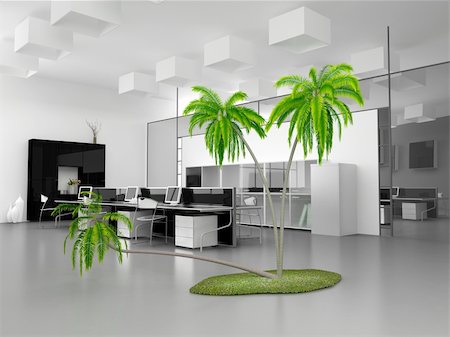 palm tree and office - the office interior with palm island(3D interior) Stock Photo - Budget Royalty-Free & Subscription, Code: 400-05062760
