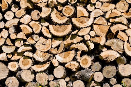 Woodpile of very old wood with many spider's webs Stock Photo - Budget Royalty-Free & Subscription, Code: 400-05062820