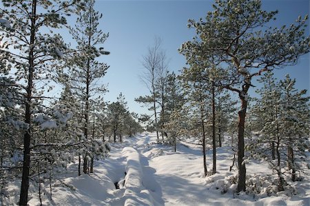 simsearch:400-05063238,k - White winter scene from snowy swamp and footpath. Stock Photo - Budget Royalty-Free & Subscription, Code: 400-05063238