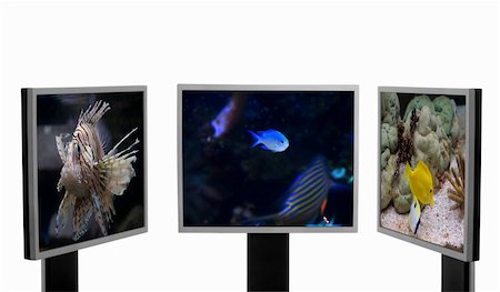 Three computer monitors with three different underwater pictures inside. Foto de stock - Super Valor sin royalties y Suscripción, Código: 400-05063750