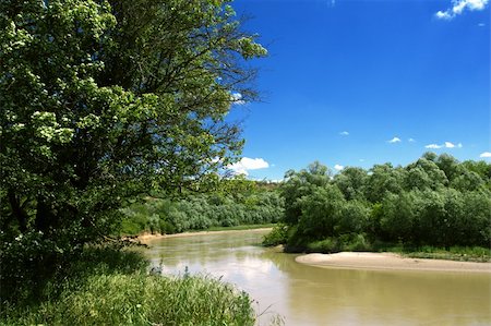 simsearch:400-04845642,k - Forests on banks of Russian Kuban river Photographie de stock - Aubaine LD & Abonnement, Code: 400-05074034