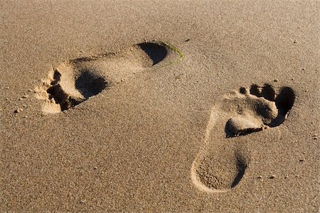 simsearch:400-04912125,k - Two Footprints in wet sand at the Beach Stock Photo - Budget Royalty-Free & Subscription, Code: 400-05074142