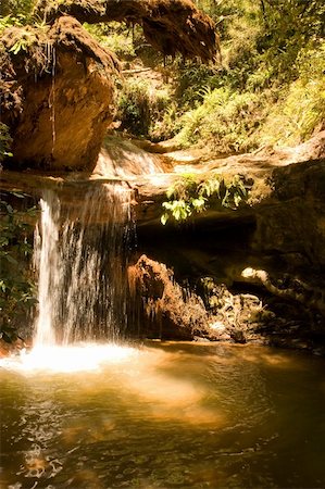 simsearch:400-09224968,k - Berry Creek Falls in Big Basin Redwoods State Park, California Foto de stock - Royalty-Free Super Valor e Assinatura, Número: 400-05074350