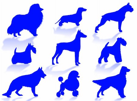 Dogs silhouette to represent different dog breeds Stock Photo - Budget Royalty-Free & Subscription, Code: 400-05074642