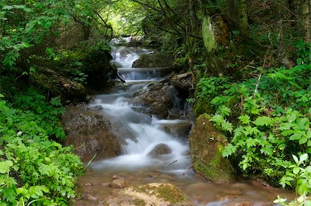 Mountain river with small waterfalls trough the forest Photographie de stock - Aubaine LD & Abonnement, Code: 400-05074730