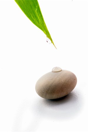 drop of water from bamboo leav and on a stones isolated on white Stock Photo - Budget Royalty-Free & Subscription, Code: 400-05075424
