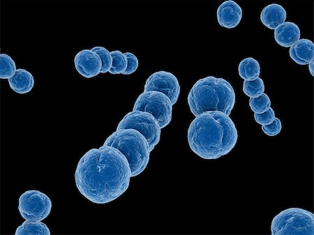 streptococcus - 3d rendered illustration of some isolated streptococcus Stock Photo - Budget Royalty-Free & Subscription, Code: 400-05075538