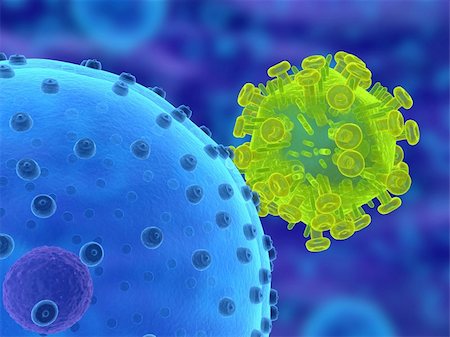 3d rendered close up of hi virus and human cell Stock Photo - Budget Royalty-Free & Subscription, Code: 400-05075559