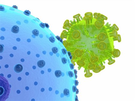3d rendered close up of hi virus and human cell Stock Photo - Budget Royalty-Free & Subscription, Code: 400-05075560