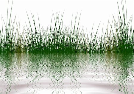 quite - Grass elements reflected in water Stock Photo - Budget Royalty-Free & Subscription, Code: 400-05075641