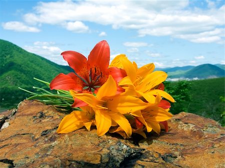 bouquet tiger lily on stone Foto de stock - Super Valor sin royalties y Suscripción, Código: 400-05075773