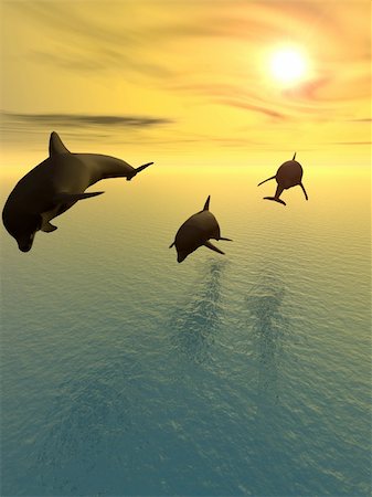 roatan - Three dolphins floating at ocean (control light) Foto de stock - Royalty-Free Super Valor e Assinatura, Número: 400-05076586