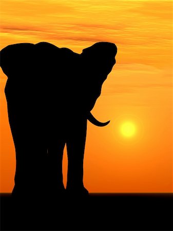 simsearch:400-04815686,k - The elephant. A silhouette elephant on a background sunset Foto de stock - Super Valor sin royalties y Suscripción, Código: 400-05076609