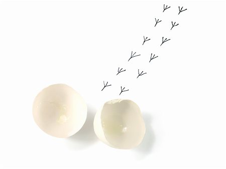 empty birds nest - Chicken footmanks from cracked eggshell. Isolated Stock Photo - Budget Royalty-Free & Subscription, Code: 400-05077193