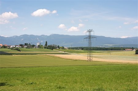 Electrical power cables in European farming countryside Stock Photo - Budget Royalty-Free & Subscription, Code: 400-05078139