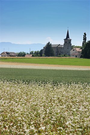 Country church in European farm countryside in summer Foto de stock - Super Valor sin royalties y Suscripción, Código: 400-05078142