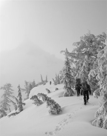 stevekuhn76 (artist) - Climbers approaching Mount Thielsen through the morning fog Stock Photo - Budget Royalty-Free & Subscription, Code: 400-05078691
