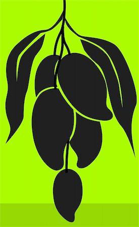 Illustration of silhouette of mangoes in the plant Foto de stock - Super Valor sin royalties y Suscripción, Código: 400-05079050