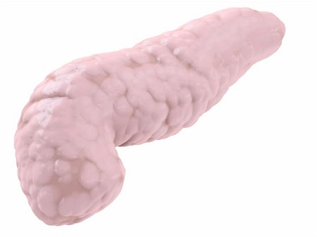 pâncreas - 3d rendered anatomy illustration of a human pancreas Foto de stock - Royalty-Free Super Valor e Assinatura, Número: 400-05079208