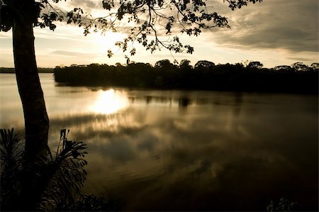 rainforest lodge - Lake Sandoval is located Tambopata-Candamo which is a nature reserve in the Peruvian Amazon Basin south of the Madre de Dios River Stock Photo - Budget Royalty-Free & Subscription, Code: 400-05079435