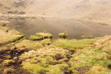 simsearch:400-05012759,k - most popular of the Inca trails for trekking is the Capaq Ñan trail, which leads from the village of Ollantaytambo to Machu Picchu Stock Photo - Budget Royalty-Free & Subscription, Code: 400-05079448