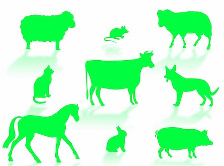 simsearch:400-08375195,k - Farm animals silhouettes with shadows on a white background Stockbilder - Microstock & Abonnement, Bildnummer: 400-05079769