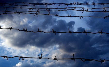 simsearch:400-04735037,k - Barbed wire against the dark blue sky Stockbilder - Microstock & Abonnement, Bildnummer: 400-05079825