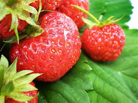 simsearch:400-04423672,k - red juicy strawberries isolated on white background Stockbilder - Microstock & Abonnement, Bildnummer: 400-05070291