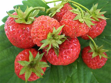 simsearch:400-04423672,k - red juicy strawberries isolated on white background Stockbilder - Microstock & Abonnement, Bildnummer: 400-05070292