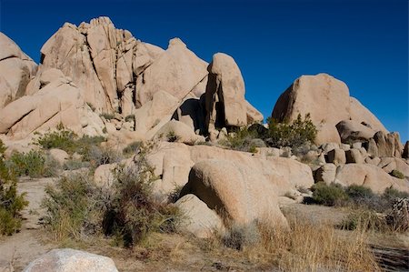 Joshua Tree National Park is located in south-eastern California. Photographie de stock - Aubaine LD & Abonnement, Code: 400-05070818