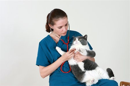 Veterinarian holds a cat after an examination Foto de stock - Super Valor sin royalties y Suscripción, Código: 400-05071212