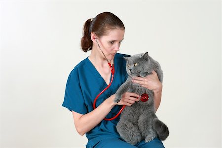 Veterinarian holds a cat after an examination Fotografie stock - Microstock e Abbonamento, Codice: 400-05071213