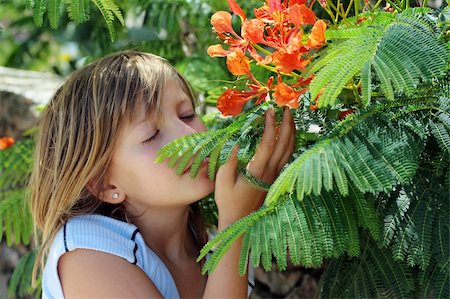 Little girl and  colorful flowers Photographie de stock - Aubaine LD & Abonnement, Code: 400-05071755