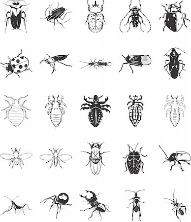 pou - Twenty smooth vector clipart illustration of various insects Photographie de stock - Aubaine LD & Abonnement, Code: 400-05072057