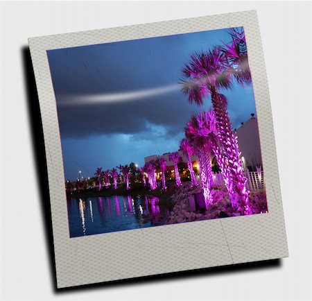 simsearch:400-07248217,k - Rendered photo of palm under purple light Foto de stock - Super Valor sin royalties y Suscripción, Código: 400-05072830