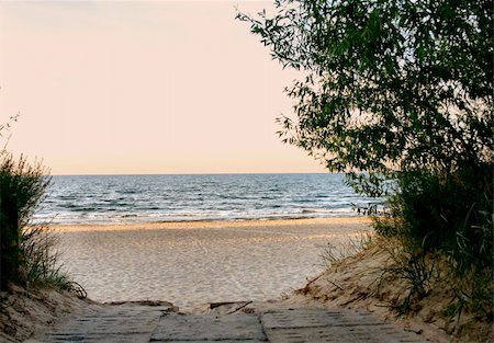 seagrass - photo of path to the sea Stock Photo - Budget Royalty-Free & Subscription, Code: 400-05073824