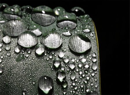 simsearch:400-04885204,k - fine close up image of rain drop on leaf Photographie de stock - Aubaine LD & Abonnement, Code: 400-05084036