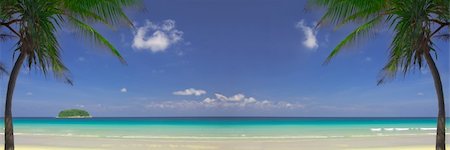 View of nice tropical empty sandy beach with some palm. Banner, lots of copy space. Stock Photo - Budget Royalty-Free & Subscription, Code: 400-05085245