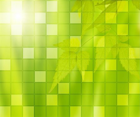 simsearch:400-04324218,k - Green mosaic - leaves of clematis, covered by the sun Photographie de stock - Aubaine LD & Abonnement, Code: 400-05087551