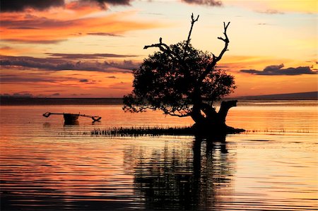 philippine fishing boat pictures - traditional banka outrigger boat in mangroves backlit by sunset, siqijour island, the philippines Stock Photo - Budget Royalty-Free & Subscription, Code: 400-05087570