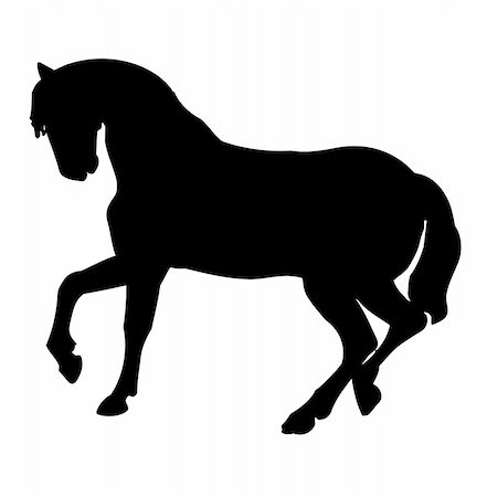 Black horse silhouette Stock Photo - Budget Royalty-Free & Subscription, Code: 400-05087722