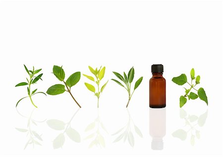 simsearch:400-04544414,k - Herb leaf sprigs of hyssop, chocolate mint, golden marjoram, sage, and bergamot and an essential oil brown glass bottle, over white background. Stock Photo - Budget Royalty-Free & Subscription, Code: 400-05088684