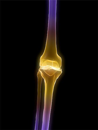 3d rendered anatomy illustration of a human skeletal knee Stock Photo - Budget Royalty-Free & Subscription, Code: 400-05088728