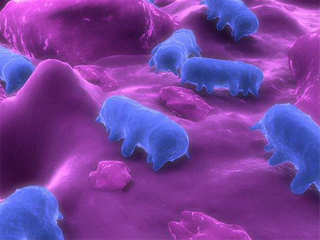 3d rendered close up of some isolated salmonella bacteria Foto de stock - Super Valor sin royalties y Suscripción, Código: 400-05088738