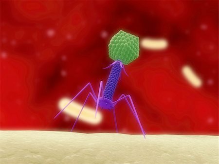3d rendered close up of an isolated bacteriophage Stock Photo - Budget Royalty-Free & Subscription, Code: 400-05088755