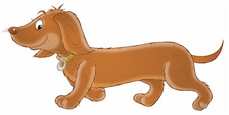 simsearch:400-04790718,k - Dachshund, whelp, canine, Puppy, pup, dog, doggy, walk, walking, brown, pet, home, friend, animal, nature, clip-art, cartoon, contour, Isolated, Illustration, color, amusing, character, cheerful, fun, comics, joke, ridiculous, toy, Smile, Natural, Zoology, zoological, zoo, funny, hand drawing, over white, childish, clipart, humorous, kiddish, Stock Photo - Budget Royalty-Free & Subscription, Code: 400-05082138