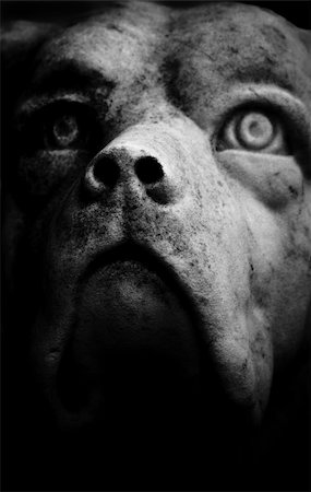 A black and white image of menacing dog statue Fotografie stock - Microstock e Abbonamento, Codice: 400-05083471