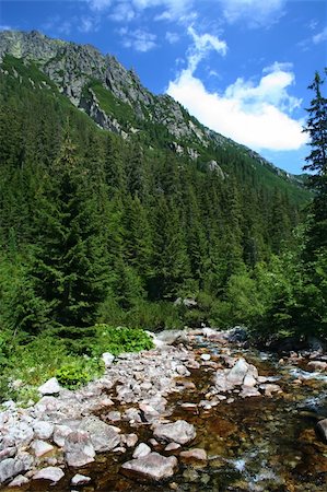 Beautiful mountain forest with clean river view Stock Photo - Budget Royalty-Free & Subscription, Code: 400-05094549